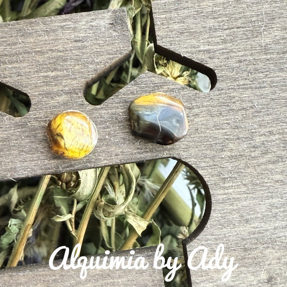 Tiger’s eye stud earrings